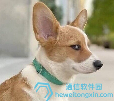 濠江淪壇22324最新消息:權威解讀與獨家內幕